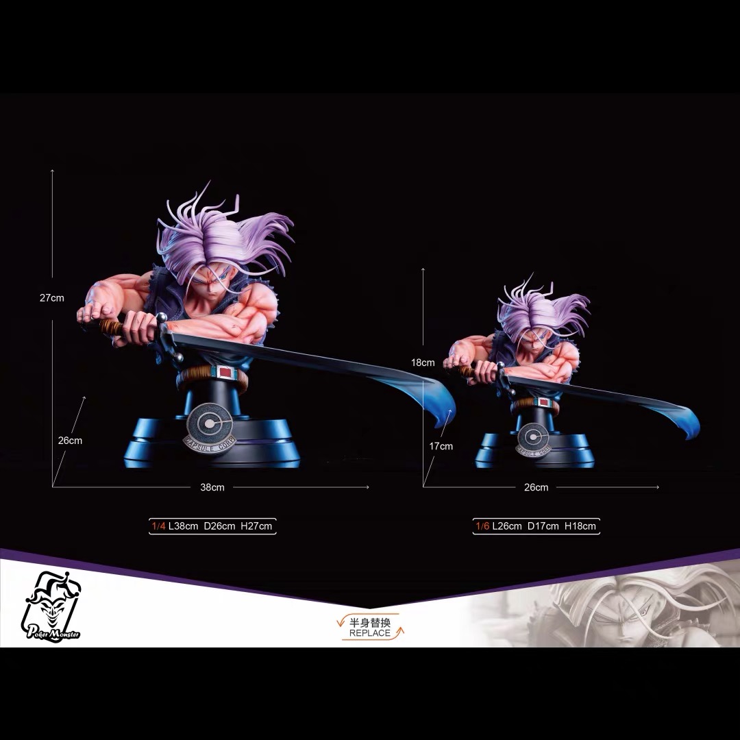 PM Studio - Future Trunks - Image 5